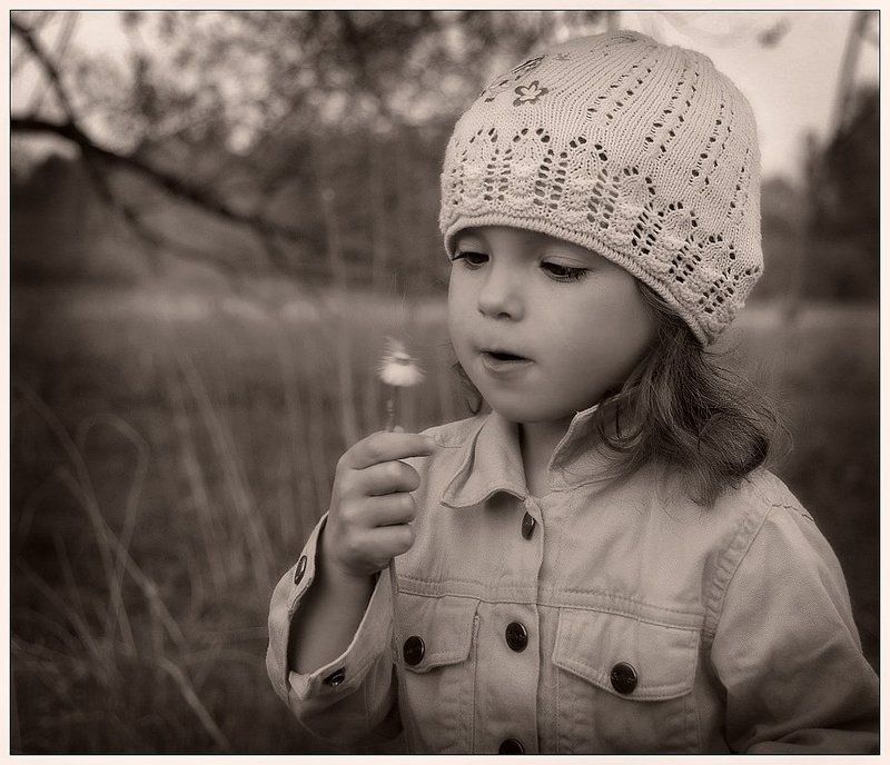 девочка, ребенок, портрет, цветок Лети, пушистик!..photo preview