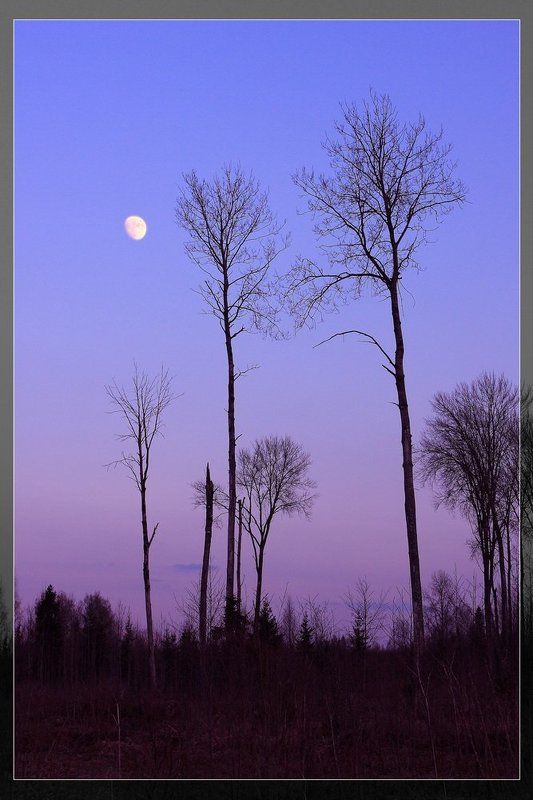 закат, луна, силуэты Свечиphoto preview