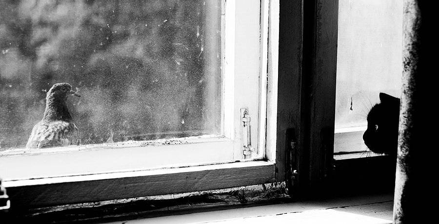 , Алексей Хляпов