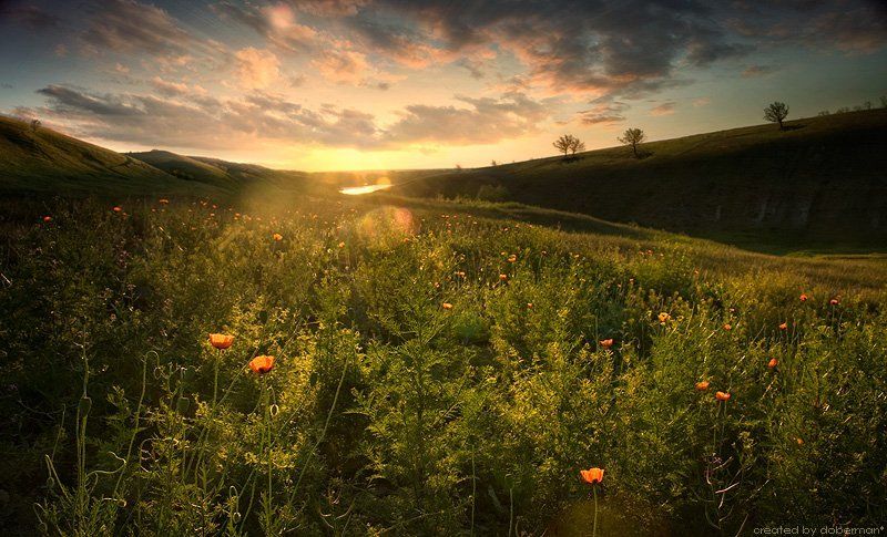 Донские рассветыphoto preview