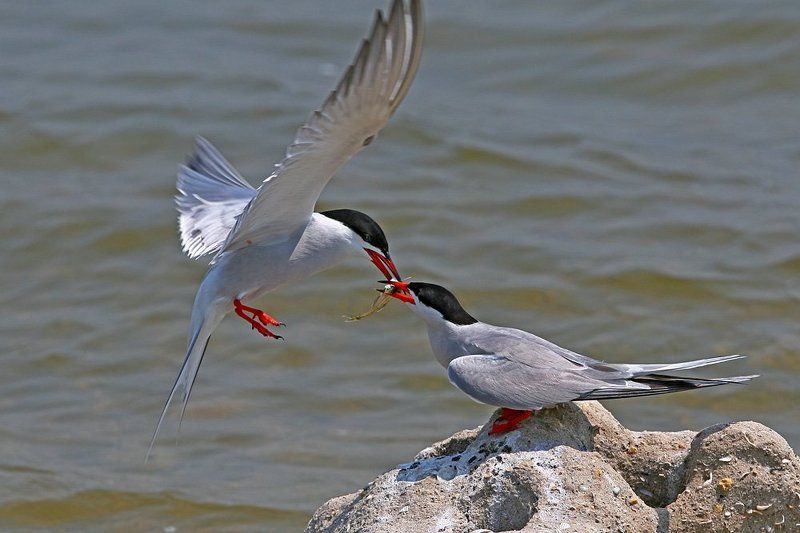 Подарки любимымphoto preview