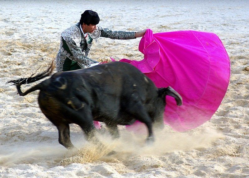 Tourada a Portuguesaphoto preview