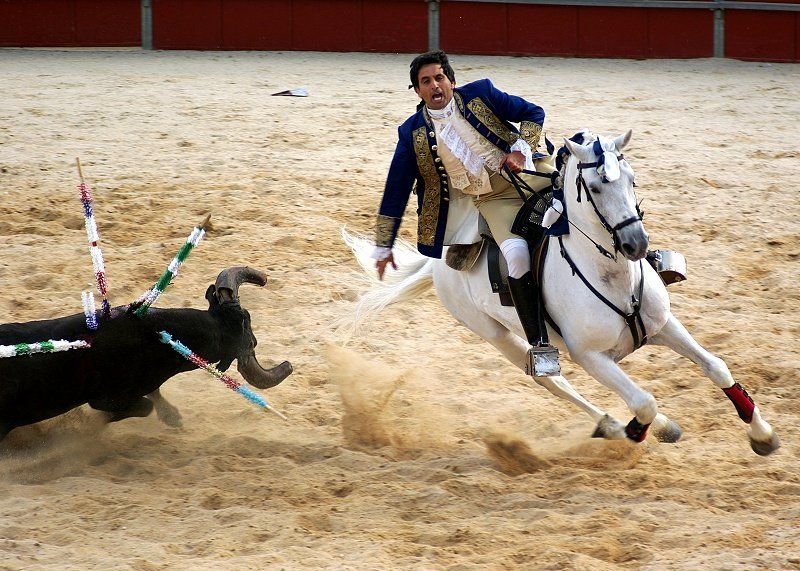 Moment of gloryphoto preview