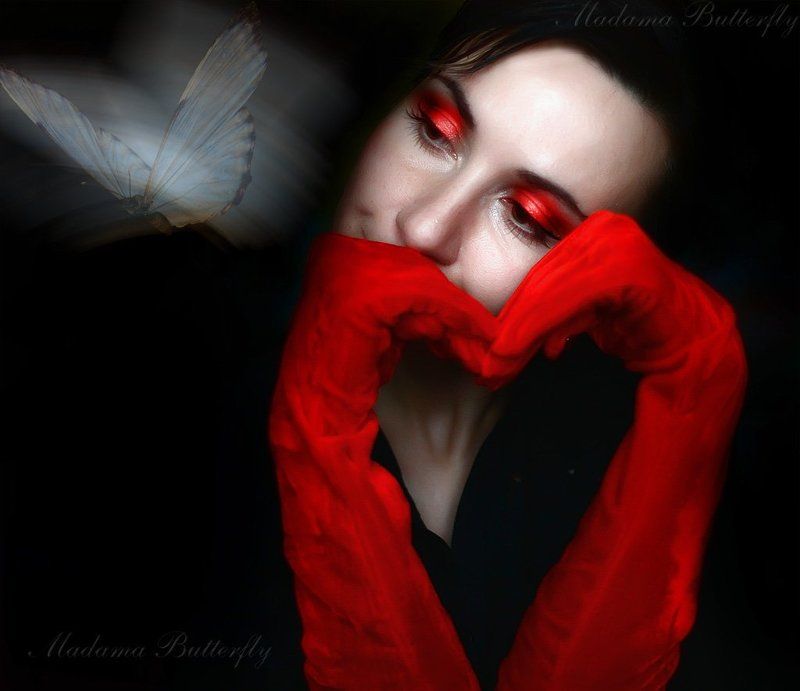 butterfly butterfly falling in lovephoto preview