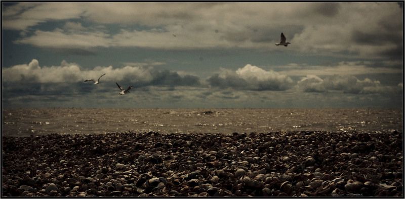 азовское, море Азовphoto preview