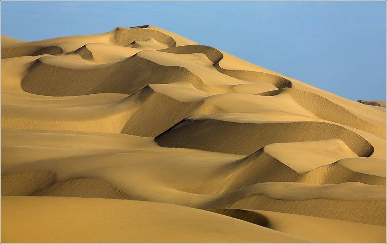 , Игорь Гущин