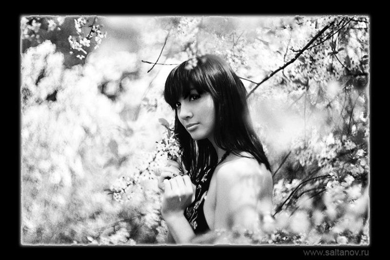 Кружила вишня пьяными садами.photo preview