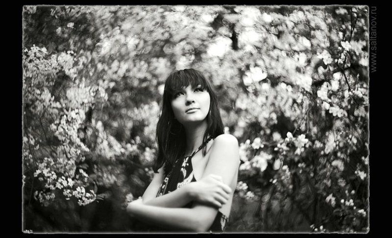 Кружила вишня пьяными садами.photo preview