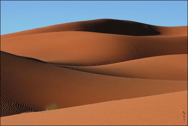 африка, марокко, africa, morocco, maroc, магриб, песок, дюны, пустыня, сахара, sand, dune, desert, sahara, эрг-шебби, erg-chebbi, merzouga, мерзуга Линии...photo preview