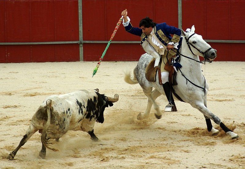 Corrida.Moments.photo preview