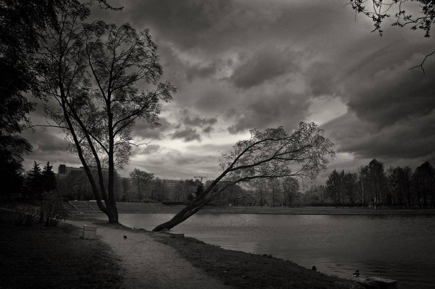 город ,парк ,пруд ,дерево ,берег ,дорожка ,трава ,листва ,туча ,гроза ,облако ,набережная ,дом ,темнота ,весна ,сity ,park ,pond ,tree ,coast ,path ,grass ,foliage ,cloud ,thunder-storm ,quay ,house ,darkness ,spring, dyadyavasya, Дмитрий Шамин