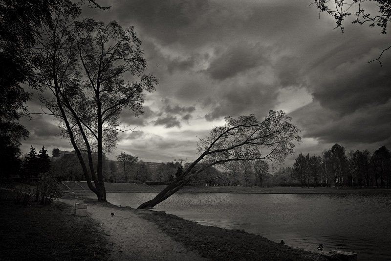 город ,парк ,пруд ,дерево ,берег ,дорожка ,трава ,листва ,туча ,гроза ,облако ,набережная ,дом ,темнота ,весна ,сity ,park ,pond ,tree ,coast ,path ,grass ,foliage ,cloud ,thunder-storm ,quay ,house ,darkness ,spring, dyadyavasya Тёмный прудphoto preview