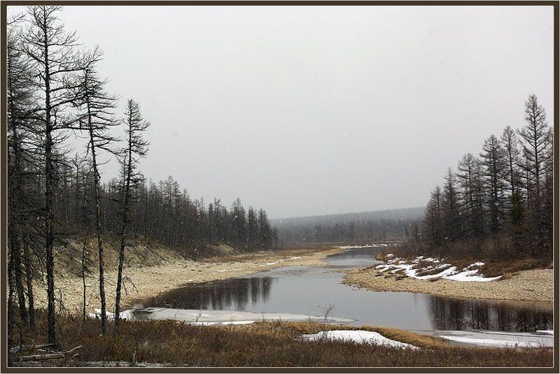 снегопад, река, тайга, весна Снег пошёлphoto preview