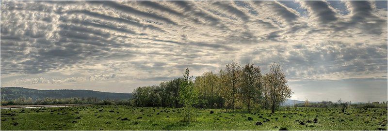 Небесные крыльяphoto preview