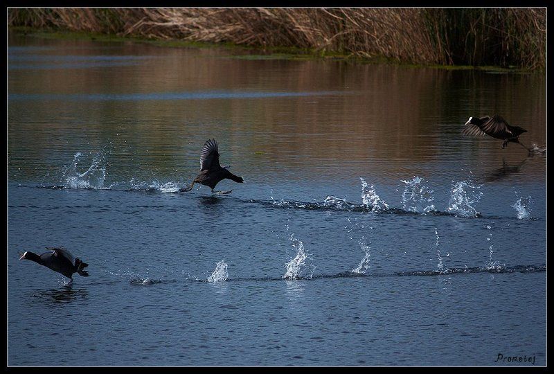 Перекрёсток. фото превью