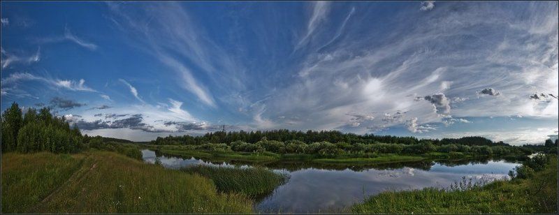 медведиха где-то под Тверьюphoto preview