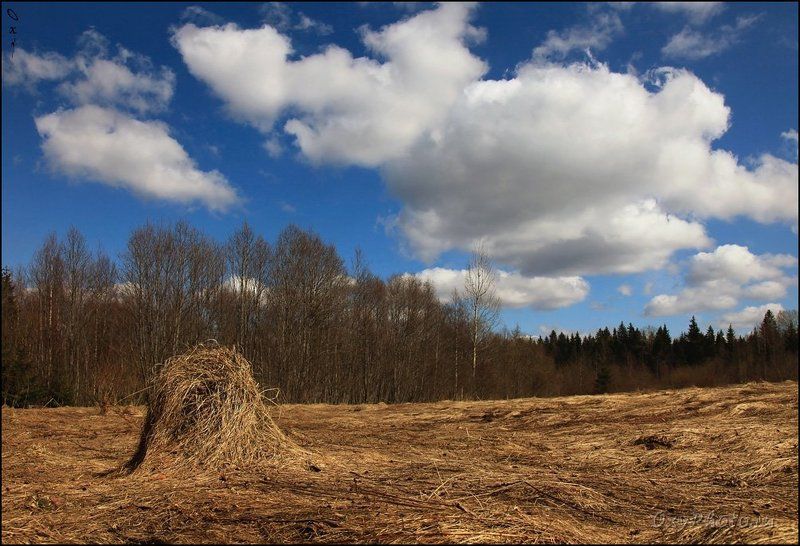 russia, россия, валдай, valdai, селигер, seliger, весна, spring Весна...photo preview