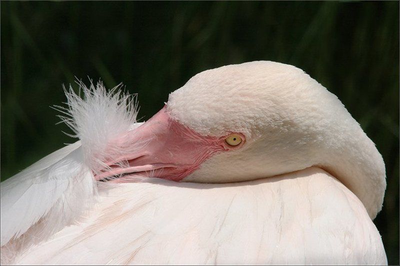 Некому согреть...photo preview