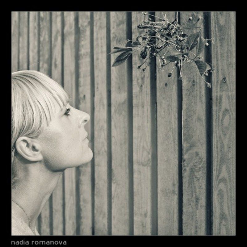 fresh, blond freshphoto preview