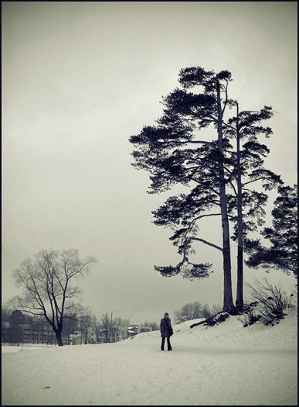 2009, март, пейзаж ********photo preview