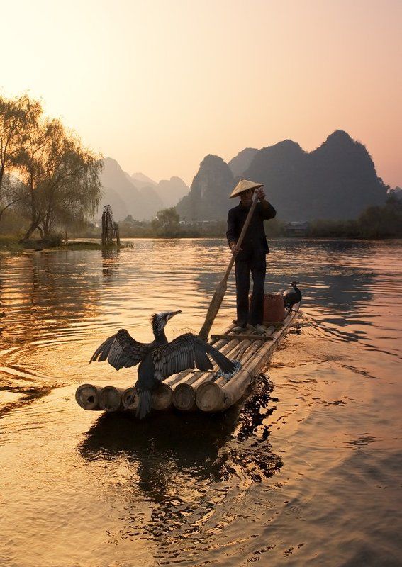 Рыбалка с бакланамиphoto preview