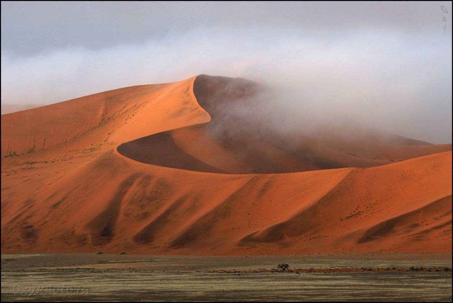 дюны, соссусвлеи, пустыня намиб, намибия, африка, dunes, sossusvlei, namib desert, namibia, africa, Оксана Борц