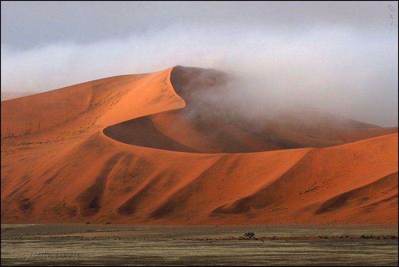 дюны, соссусвлеи, пустыня намиб, намибия, африка, dunes, sossusvlei, namib desert, namibia, africa В мягких утренних одеждах...photo preview