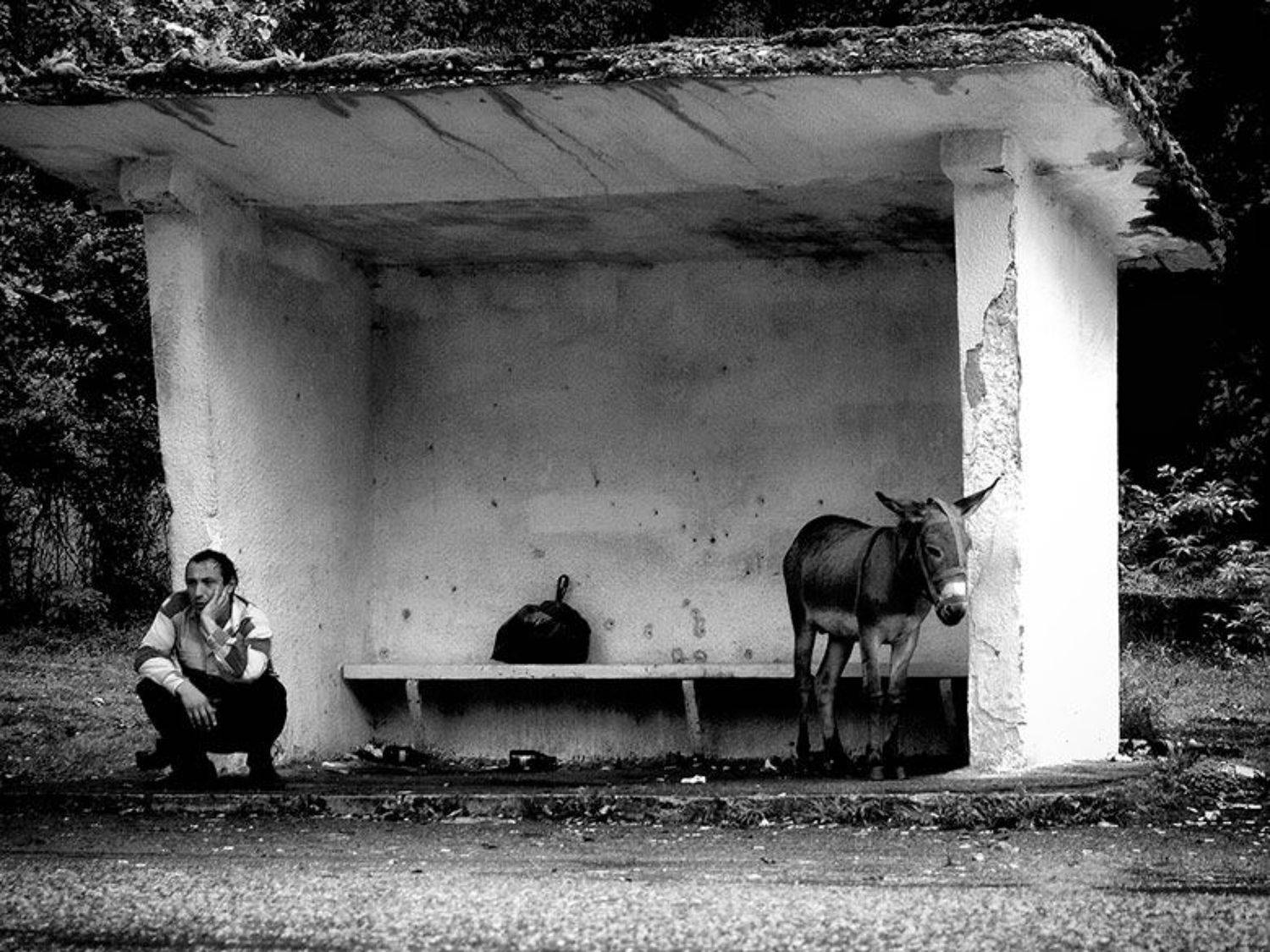 Остановка по требованию.... Автор: Toska остановка,мужик,осел, Toska