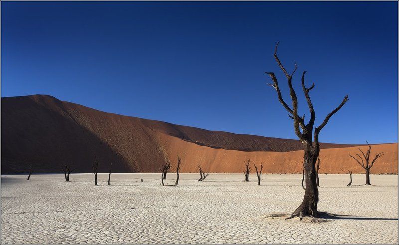 Пустыня Намиб, этюд № 8photo preview