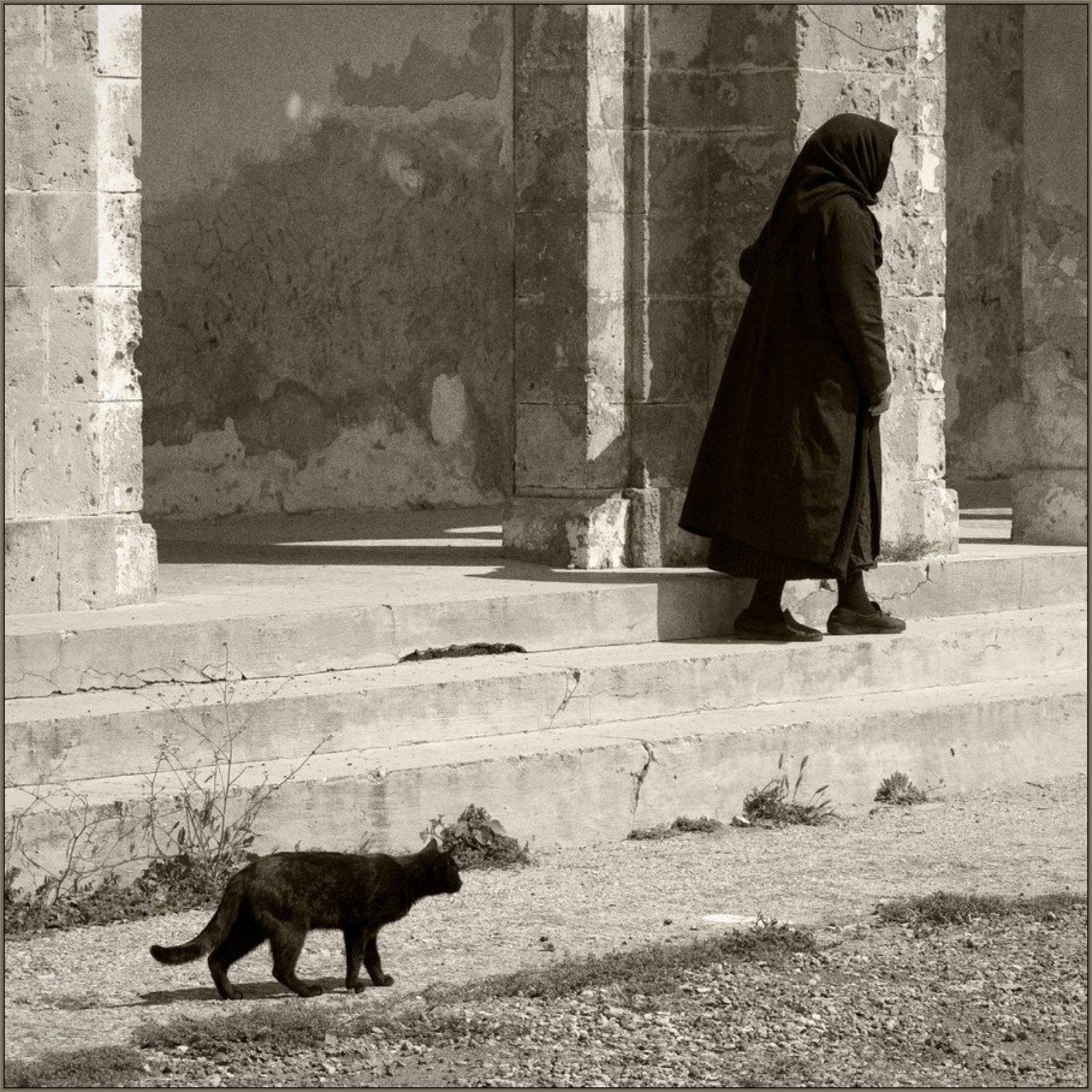 Человек и кошка. Автор: Aleetet , Aleetet