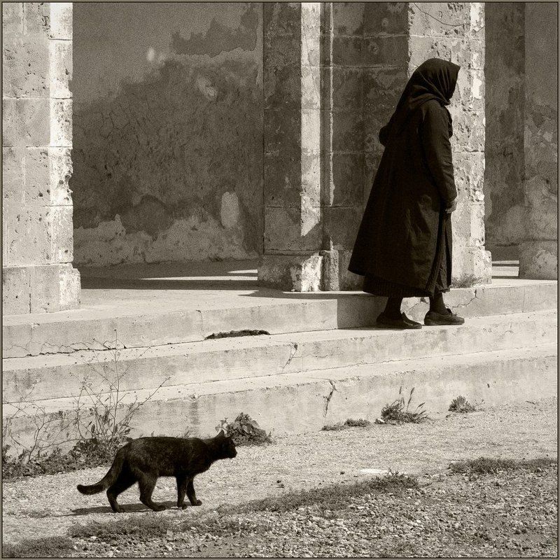 Человек и кошкаphoto preview