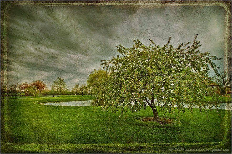 пейзаж, pilgrim, весна, Pilgrim