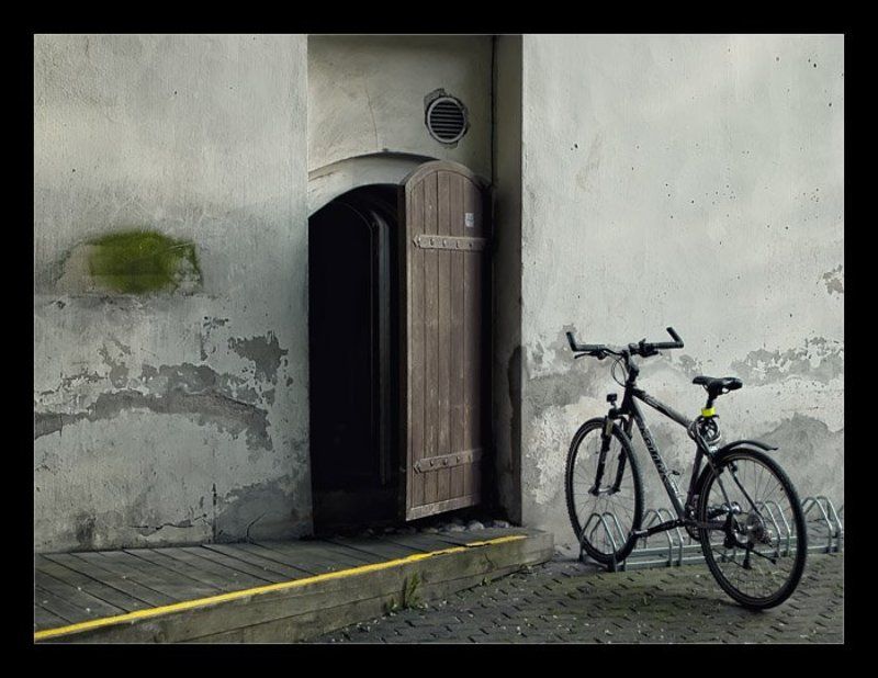 yellow yellow morsephoto preview