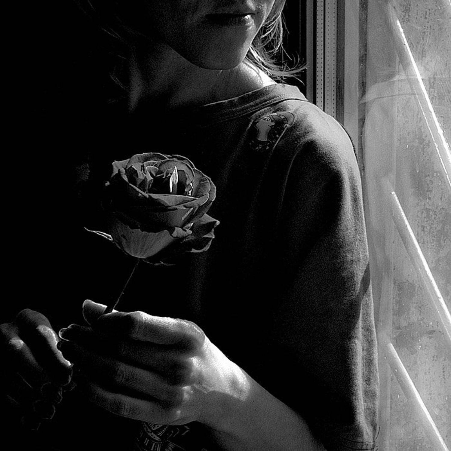 pentax k20d, роза, Rada*