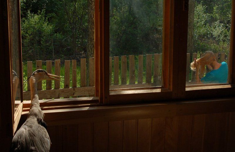 когда журавль в руках...photo preview