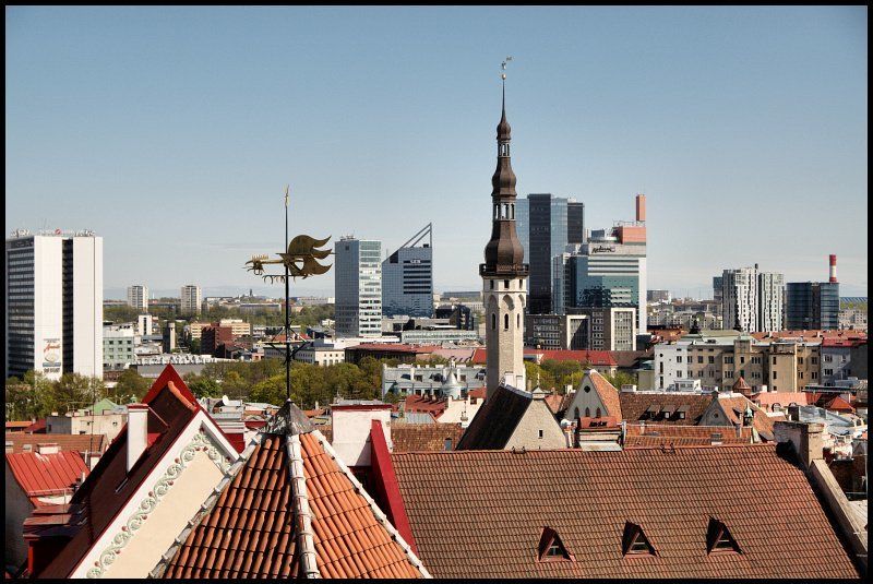 таллинн Смешались в кучу... фото превью