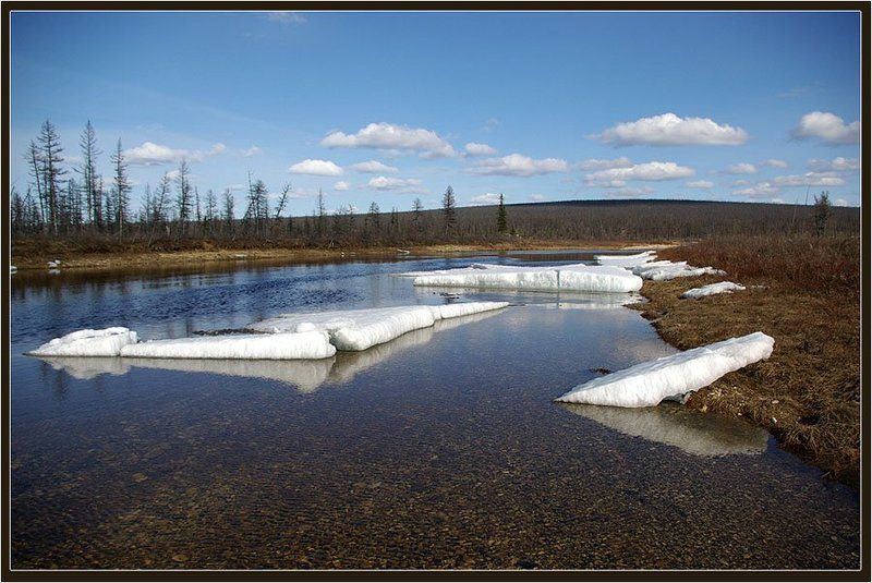 река, тайга, льдины, весна, якутия Весенне-северный пейзажphoto preview