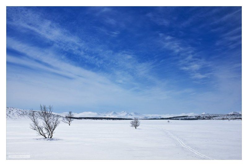 камчатка, юг, весна Весенний минимализмphoto preview