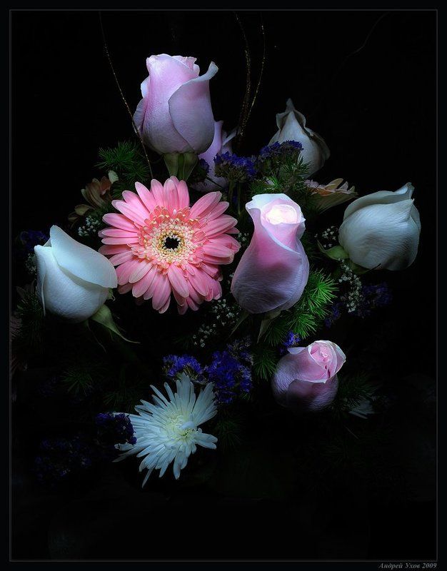 Полуночный подарокphoto preview