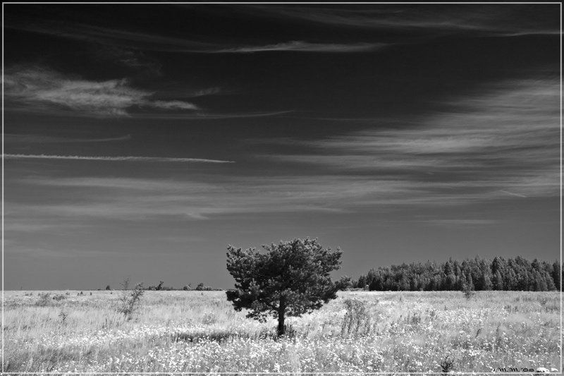 Синее небоphoto preview