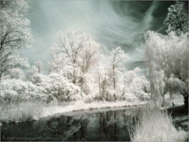 ик, жанр, infrared, инфракрасный, инфракрасное, pilgrim, hoya r72, minolta dimage 7 Spring in whitephoto preview