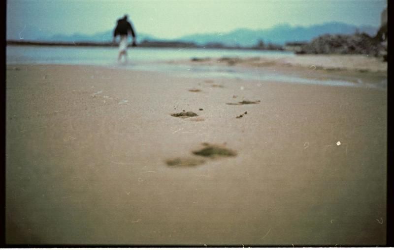 the way of samuraiphoto preview