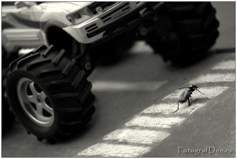 пешеходphoto preview