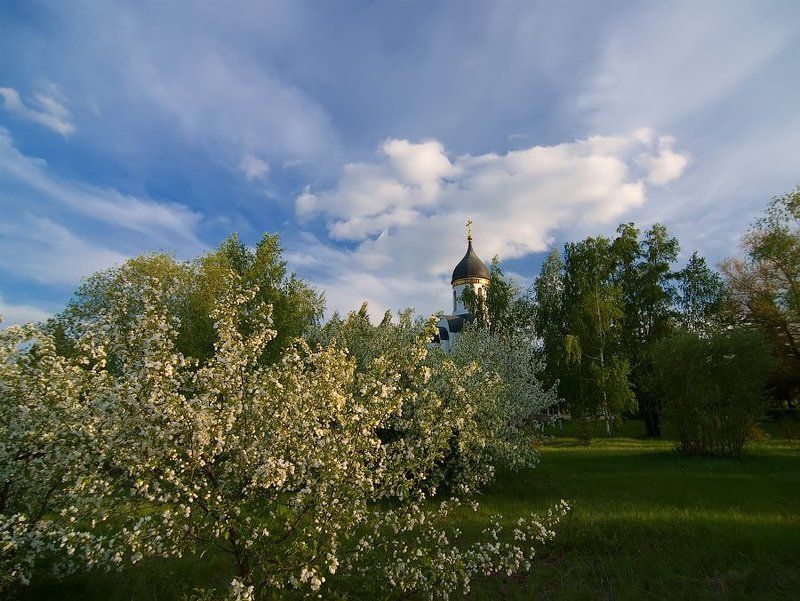 Актриса Веснаphoto preview