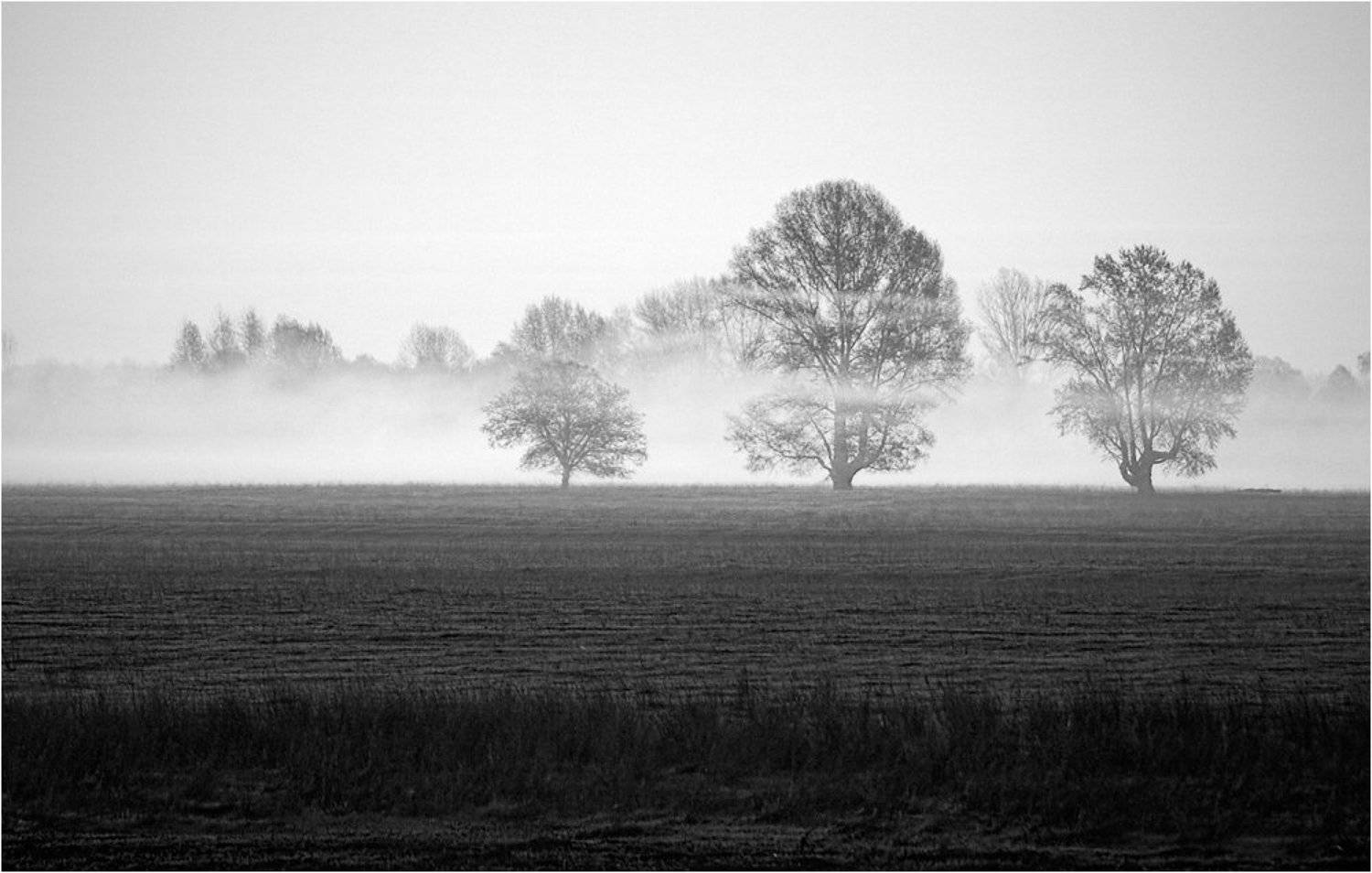 Театр тумана. Автор: Степанов Сергей куяшкино, башкирия, река, белая, Степанов Сергей