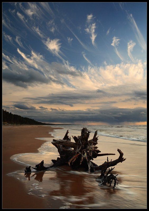 коряга, облака, море, вечер ***photo preview