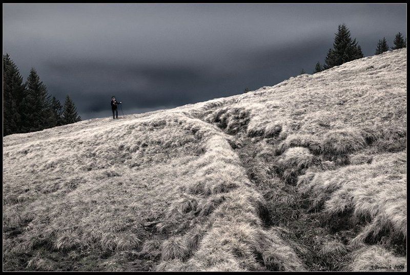 Кукла потеряласьphoto preview