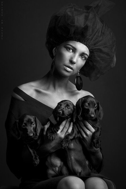 *** *Three out of her dogs*photo preview