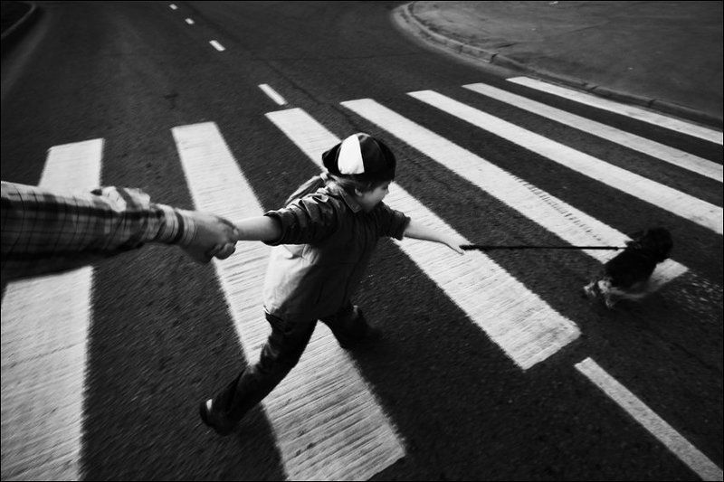 Переходня чб картинка с рукой, собакой и девочкой в беретеphoto preview