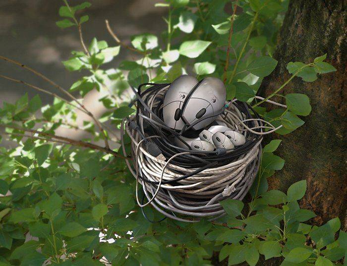 Гнездо 2. Скопируй свою любовь!. Автор: Юлия Чекмарева , Юлия Чекмарева